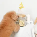 リーフ柄ウッド蓋ガラスキャニスター - Image 3