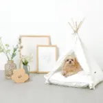 クッション付テントハウス - Image 2