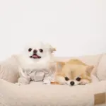 ドットヤーンキルティングクッションベッド - Image 4