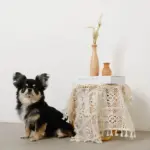 ドライフラワー用ウッドミニフラワーベース - Image 6