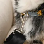 ストライプふんわりドライブペットベッド - Image 8