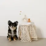 カーブサークルフラワーベース - Image 6