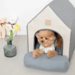 エコレザー組み立てハウス クッション付き - Image 4