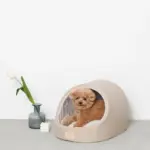 エコレザー洞窟ハウス - Image 4