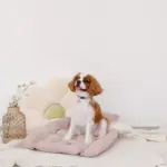 リブフラワークッション - Image 9