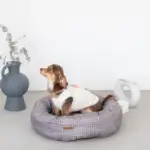 グラフチェッククッションベッド(ピローセット) - Image 3