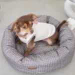 グラフチェッククッションベッド(ピローセット) - Image 9