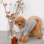 ウッドセミサークルトレイ - Image 5