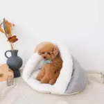 ドーム型ボアハウス - Image 3