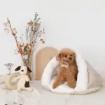 服 ブランド m - Professional Guide and Review