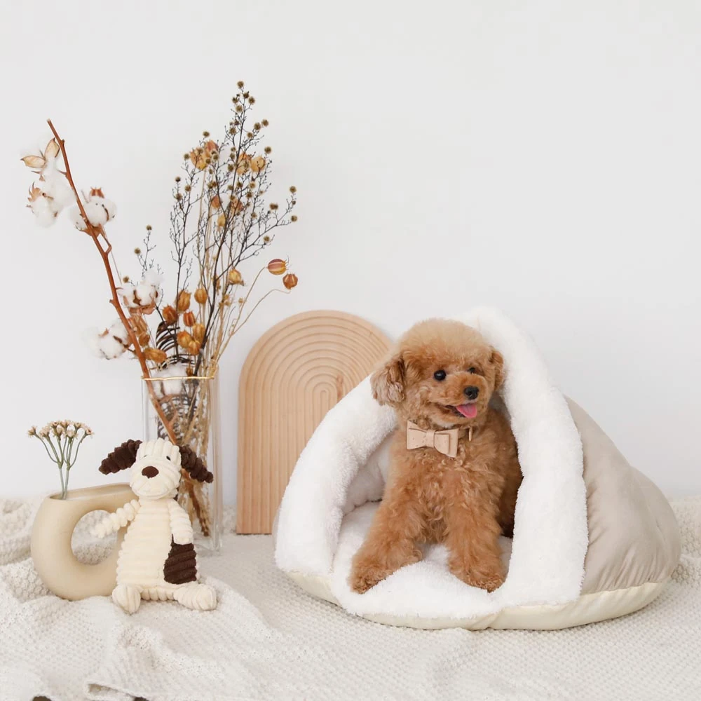 服 ブランド m - Professional Guide and Review