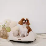 ヘリンボーンクッションベッド - Image 7