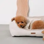 ヘリンボーンクッションベッド - Image 8