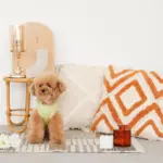 トライアングル柄フリンジクッション - Image 5