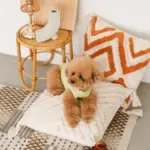 トライアングル柄フリンジクッション - Image 6