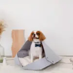 ウッドシェープトレイ - Image 3