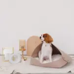 クッション付フェルトベッド - Image 4