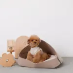 クッション付フェルトベッド - Image 7