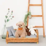 スクエアラタンベッド　クッション付き - Image 7