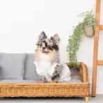 スクエアラタンベッド　クッション付き - Image 10