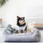 リバーシブルクッションストライプベッド - Image 2