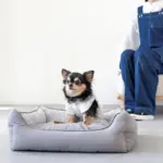 リバーシブルクッションストライプベッド - Image 4