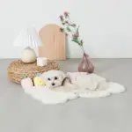 くまさんマット - Image 4