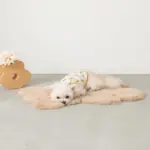 くまさんマット - Image 7