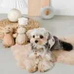 くまさんマット - Image 10