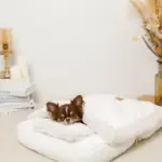 お星さまとお月さま柄お布団SET - Image 2