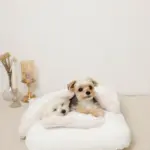 お星さまとお月さま柄お布団SET - Image 3