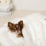 お星さまとお月さま柄お布団SET - Image 6