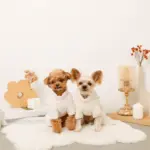 遠赤外線ギンガムチェックロンパースハーネス - Image 5