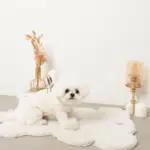 遠赤外線ギンガムチェックロンパースハーネス - Image 6