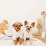 遠赤外線ギンガムチェックロンパースハーネス - Image 8