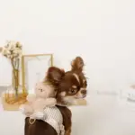 くまさんギンガムチェックおんぶハーネス+リードSET【名入れ刺繍対応】 - Image 9