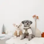 PUレザー×ワッフルハーネス - Image 8