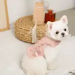 コットンレースフリルハーネス+リードSET【名入れ刺繍対応】 - Image 4