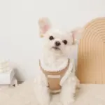 ニットボアハーネス+リードSET【名入れ刺繍対応】 - Image 2