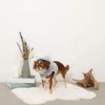 恐竜さんボアフードハーネス - Image 4