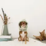 恐竜さんボアフードハーネス - Image 7