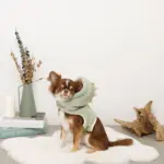 恐竜さんボアフードハーネス - Image 8