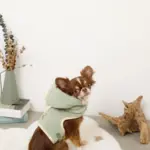 恐竜さんボアフードハーネス - Image 9