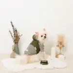 フード付きキルティングダウンライクハーネス+リードSET【名入れ刺繍対応】 - Image 6