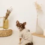 星柄キルティングロンパースハーネス - Image 2