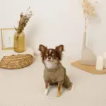 星柄キルティングロンパースハーネス - Image 4