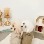 星柄キルティングロンパースハーネス - Image 9