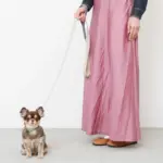 シュリンクレザーハートバックルカラー - Image 10