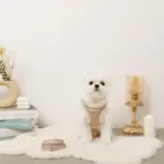 木馬刺繍入りコーデュロイボアハーネス+リードSET【名入れ刺繍対応】 - Image 2