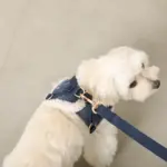 木馬刺繍入りコーデュロイボアハーネス+リードSET【名入れ刺繍対応】 - Image 10